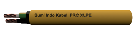 20220620024624FRC_XLPE-removebg-preview